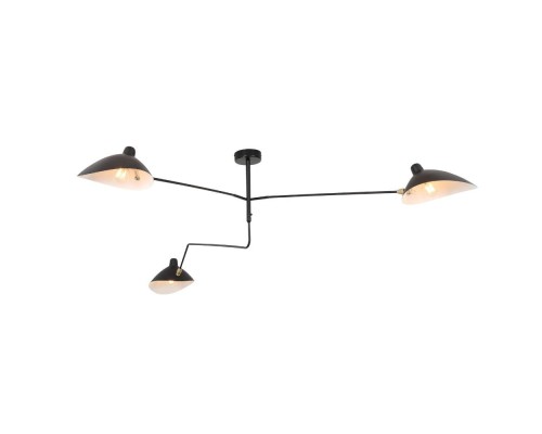 Потолочная люстра Spruzzo SL305.402.03 ST Luce