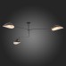 Потолочная люстра Spruzzo SL305.402.03 ST Luce