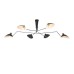 Потолочная люстра Spruzzo SL305.402.06 ST Luce