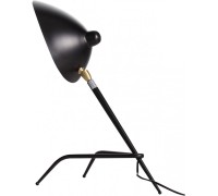 Настольная лампа Spruzzo SL305.404.01 ST Luce