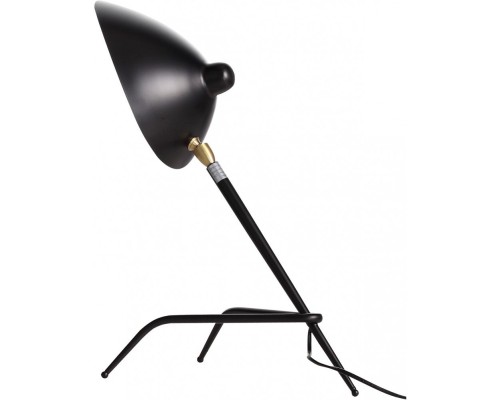 Настольная лампа Spruzzo SL305.404.01 ST Luce