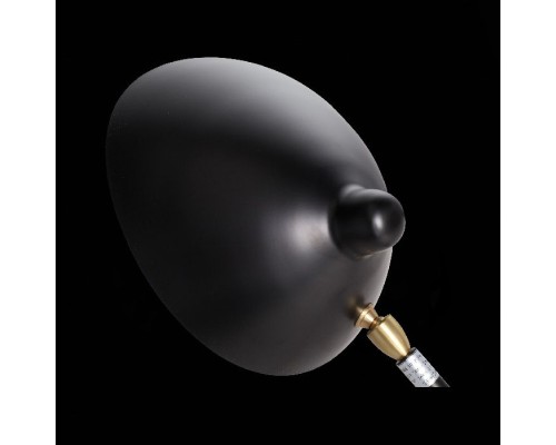 Настольная лампа Spruzzo SL305.404.01 ST Luce