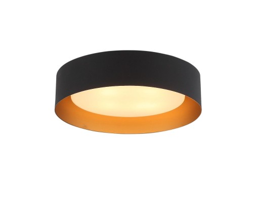 Потолочный светильник Chio SL392.422.04 ST Luce