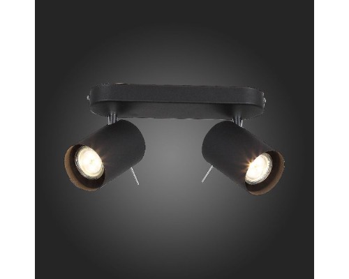 Спот Fanale SL597.401.02 ST Luce