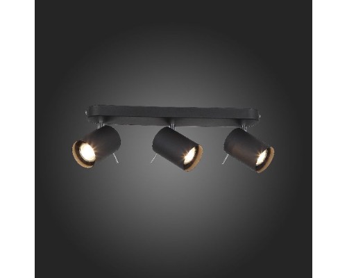 Спот Fanale SL597.401.03 ST Luce