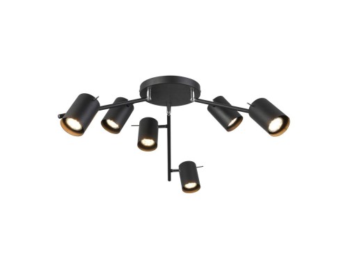 Потолочная люстра Fanale SL597.402.06 ST Luce