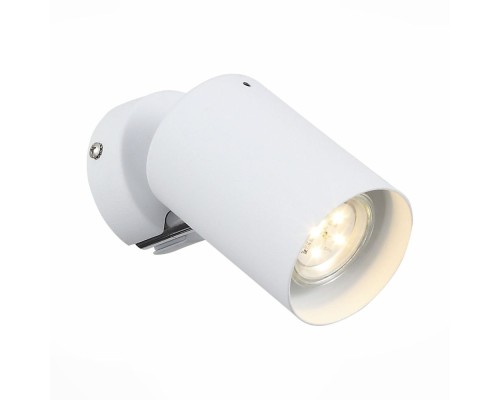 Спот Fanale SL597.501.01 ST Luce