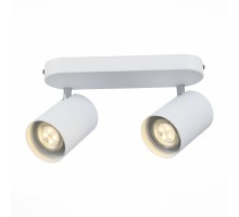 Спот Fanale SL597.501.02 ST Luce