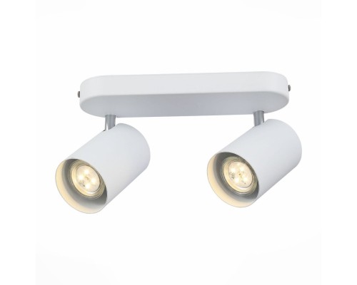 Спот Fanale SL597.501.02 ST Luce