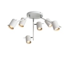 Потолочный светильник Fanale SL597.502.06 ST Luce