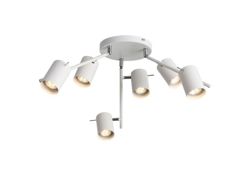 Потолочный светильник Fanale SL597.502.06 ST Luce