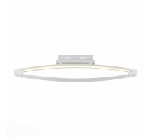 Потолочный светильник уличный Orione SL920.102.01 ST Luce