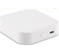 Wi-Fi конвертер Skyline 220 ST015.500.97 ST Luce