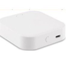 Wi-Fi конвертер Skyline 220 ST015.500.97 ST Luce