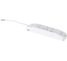 Блок питания Farm ST023.024.60 ST Luce