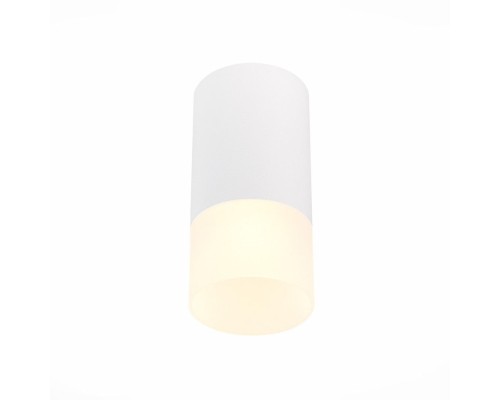 Точечный светильник St100 ST100.512.01 ST Luce