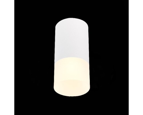 Точечный светильник St100 ST100.512.01 ST Luce