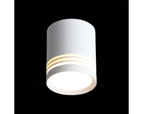 Точечный светильник Cerione ST101.542.05 ST Luce