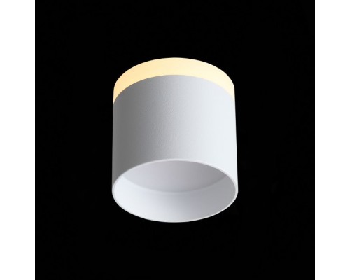 Точечный светильник Panaggio ST102.502.09 ST Luce