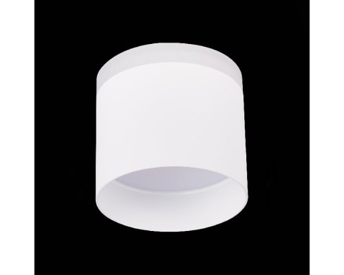 Точечный светильник Panaggio ST102.542.12 ST Luce