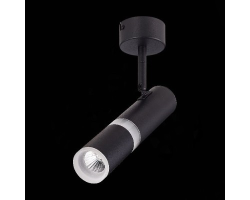 Спот Escopio ST106.442.08 ST Luce