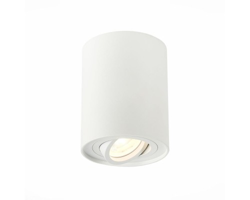 Точечный светильник Torus ST108.517.01 ST Luce