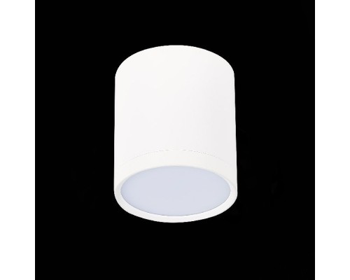 Точечный светильник Rene ST113.532.05 ST Luce