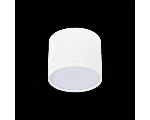 Точечный светильник Rene ST113.532.09 ST Luce