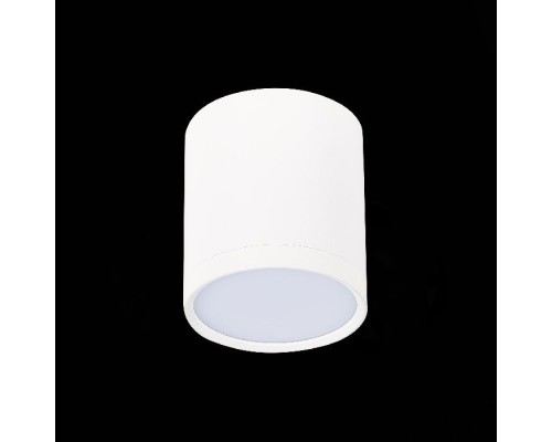 Точечный светильник Rene ST113.542.05 ST Luce