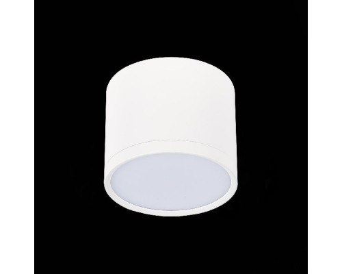 Точечный светильник Rene ST113.542.09 ST Luce