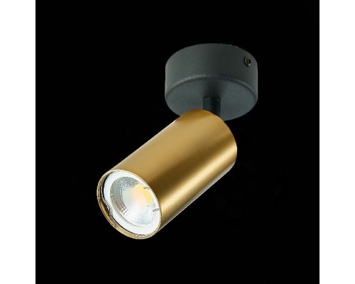 Спот St303 ST303.202.01 ST Luce