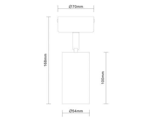 Спот Dario ST303.502.01 ST Luce