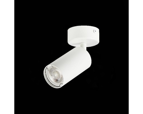 Спот Dario ST303.502.01 ST Luce