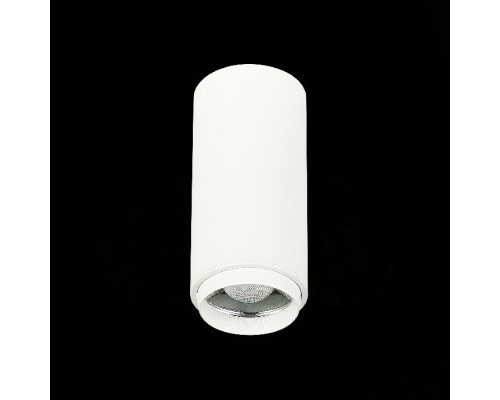 Точечный светильник Zoom ST600.542.10 ST Luce