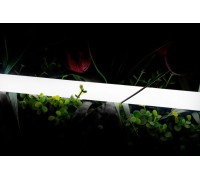 Гибкий неон 360 SWG-2360-24-NW-66 SWG