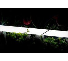 Гибкий неон 360 SWG-2360-24-NW-66 SWG