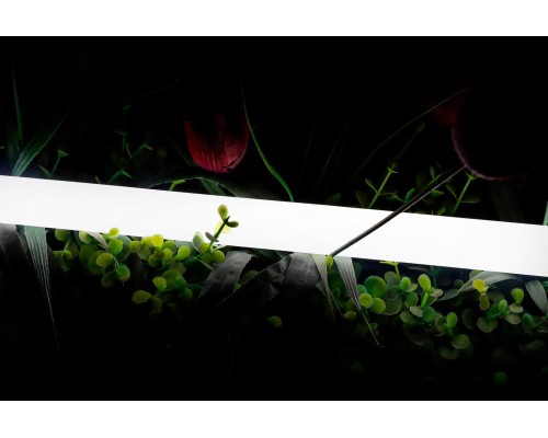 Гибкий неон 360 SWG-2360-24-NW-66 SWG