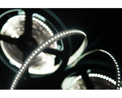 Светодиодная лента SWG4240 SWG4240-12-24-W-M SWG