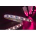 Светодиодная лента SWG560 SWG560-24-14.4-RGB-M SWG
