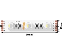 Светодиодная лента SWG560 SWG560-24-19.2-RGB+WW-M SWG