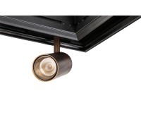 Трековый светильник SY SY-601201-BR-10-36-NW SWG