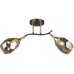 Потолочная люстра Koul SF3329/2C-CF-FGD-SMK Seven Fires