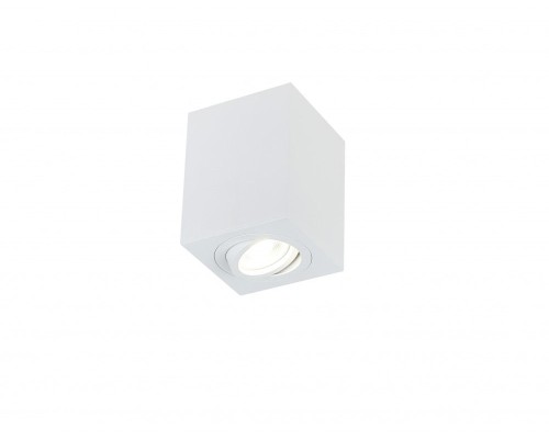 Точечный светильник 2038 2038-1CLW Simple Story