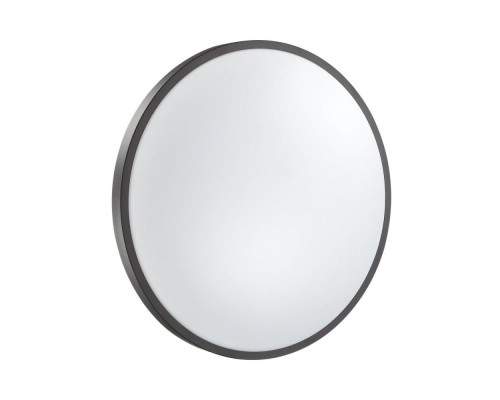 Настенно-потолочный светильник Smalli 3012/DL Sonex