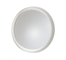 Настенно-потолочный светильник Bionic 3030/DL Sonex