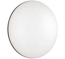 Настенно-потолочный светильник Vaka 3042/EL Sonex