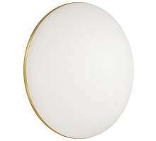 Настенно-потолочный светильник Lassa 3043/DL Sonex