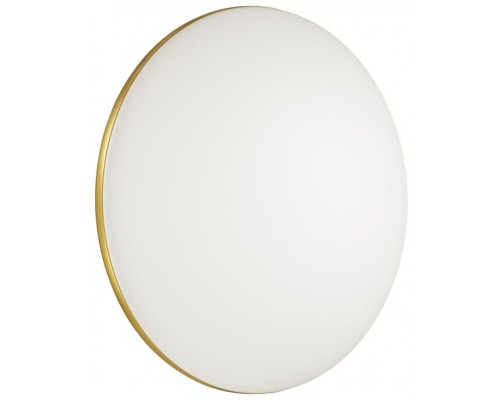 Настенно-потолочный светильник Lassa 3043/DL Sonex