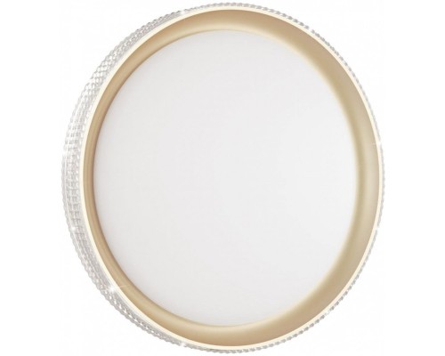 Настенно-потолочный светильник Shiny 3054/EL Sonex