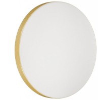 Настенно-потолочный светильник Smalli 3066/CL Sonex